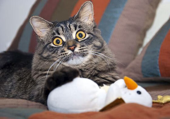 《青少年电竞竞技：成长的烦恼与未来的希望》，电竞青少年的逐梦路